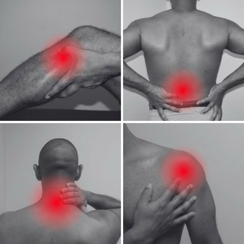 WhatsApp Image 2024-02-16 at 12.43.54